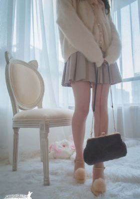 我的老婆是会长大人