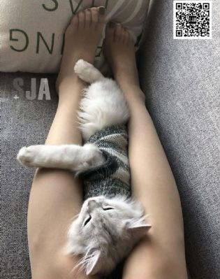 丰满的继母电影