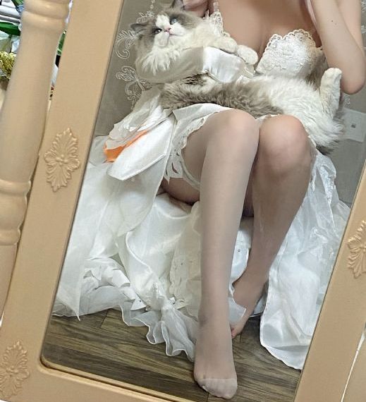 褪色的憎恨