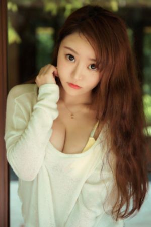 杨门女将之穆桂英挂帅
