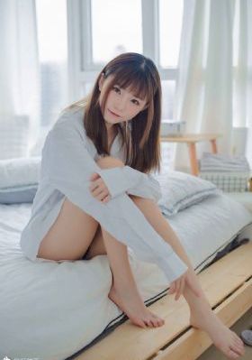 继承者