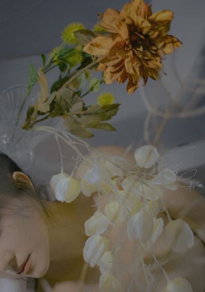 妙手神捕俏佳人